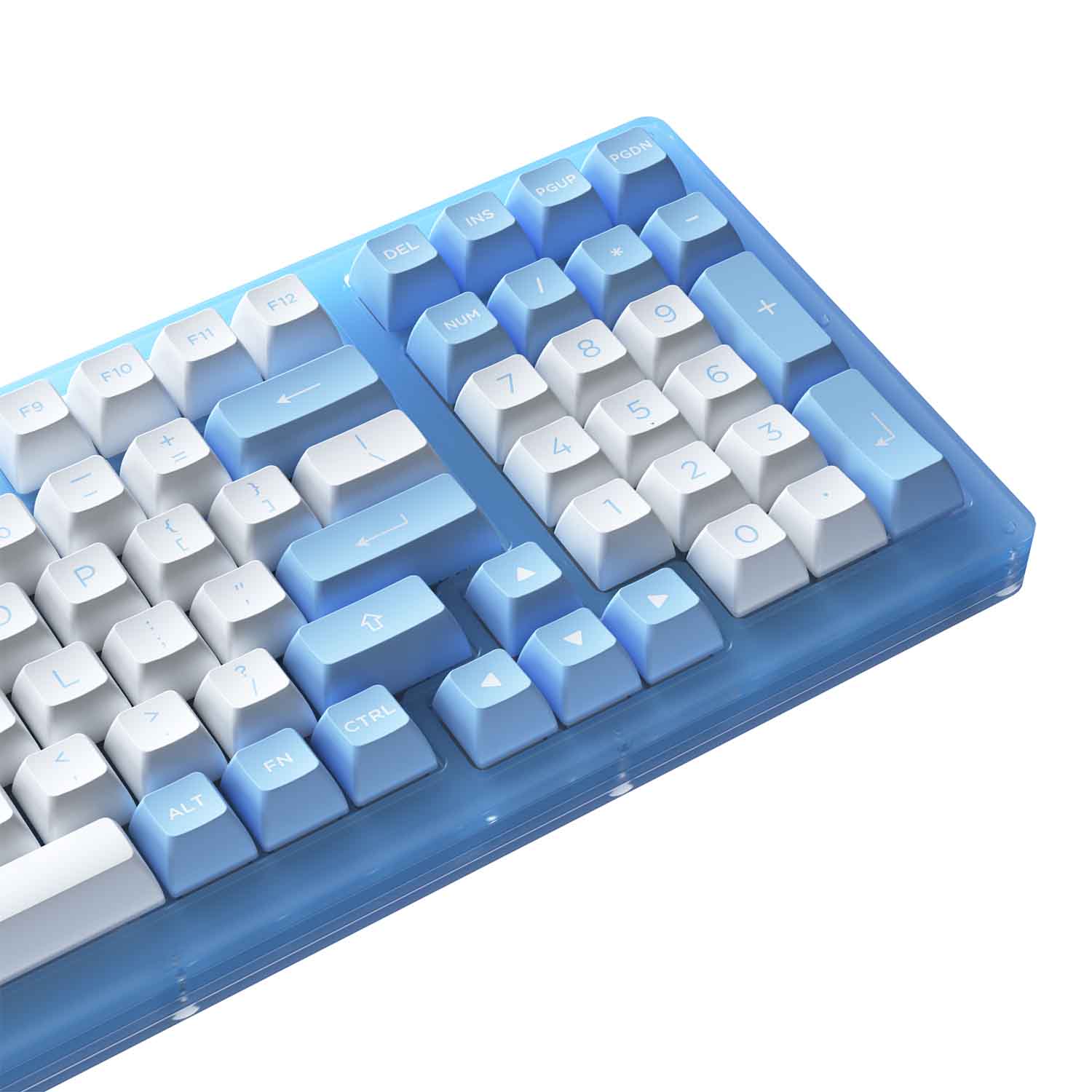 Bàn phím cơ AKKO ACR98 Blue (Hotswap / RGB / AKKO CS sw Jelly Blue)