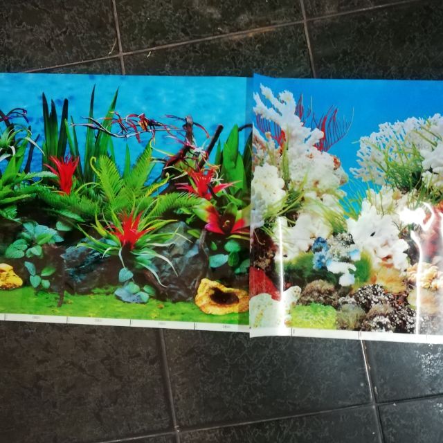 [HCM]Tranh dán hồ cá cao 40cm x1M