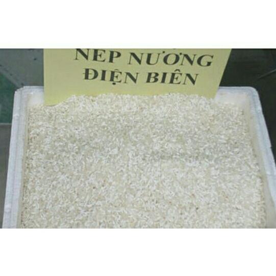 5kg gạo nếp nương điện biên