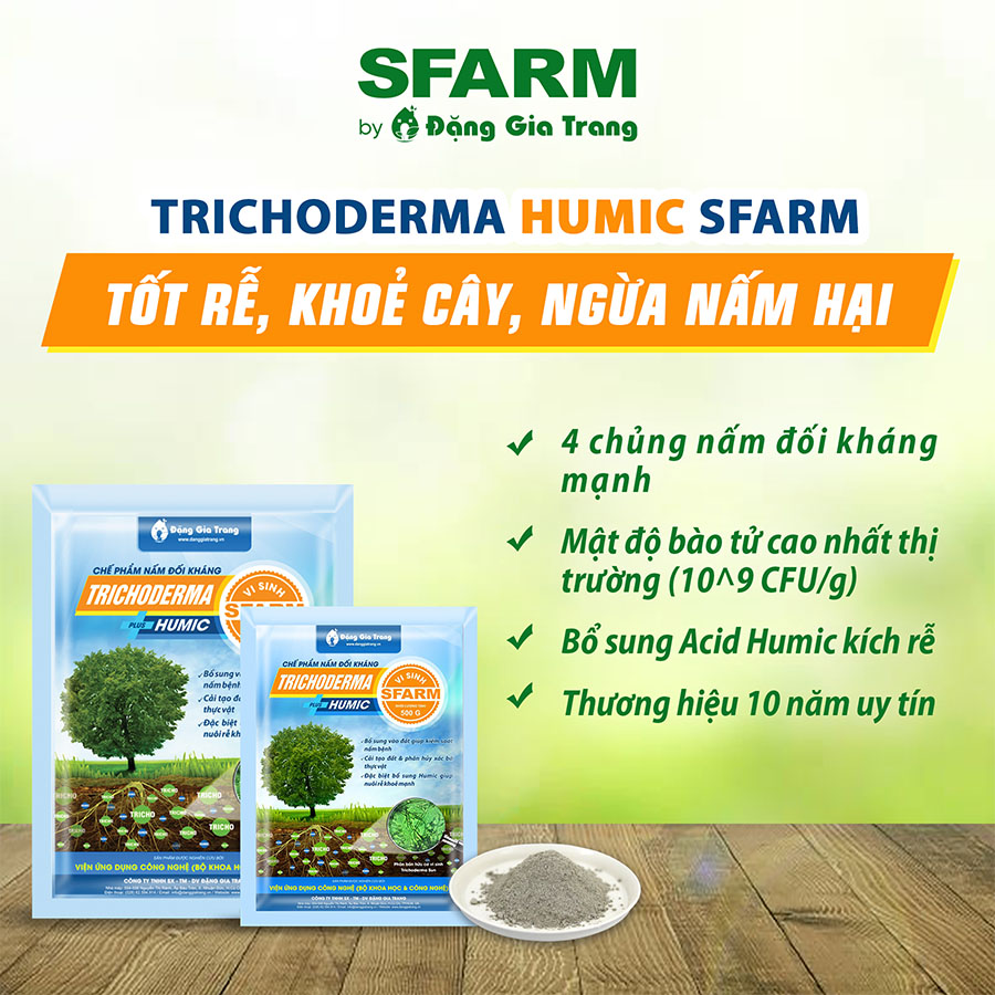 Gói 1kg Nấm đối kháng Trichoderma Plus Humic và Trichoderma SFARM