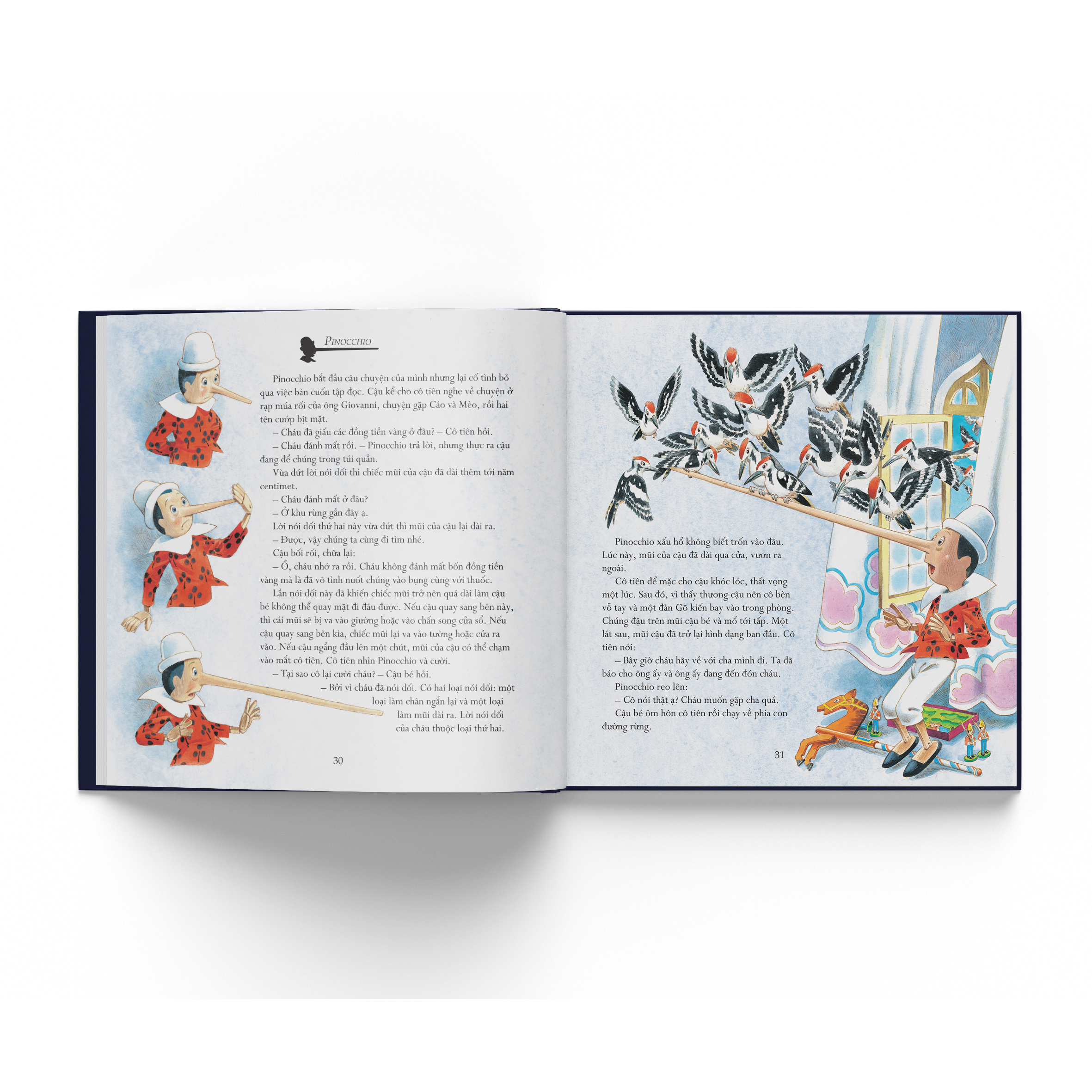 Cá Chép - Những Cuộc Phiêu Lưu Của Pinocchio