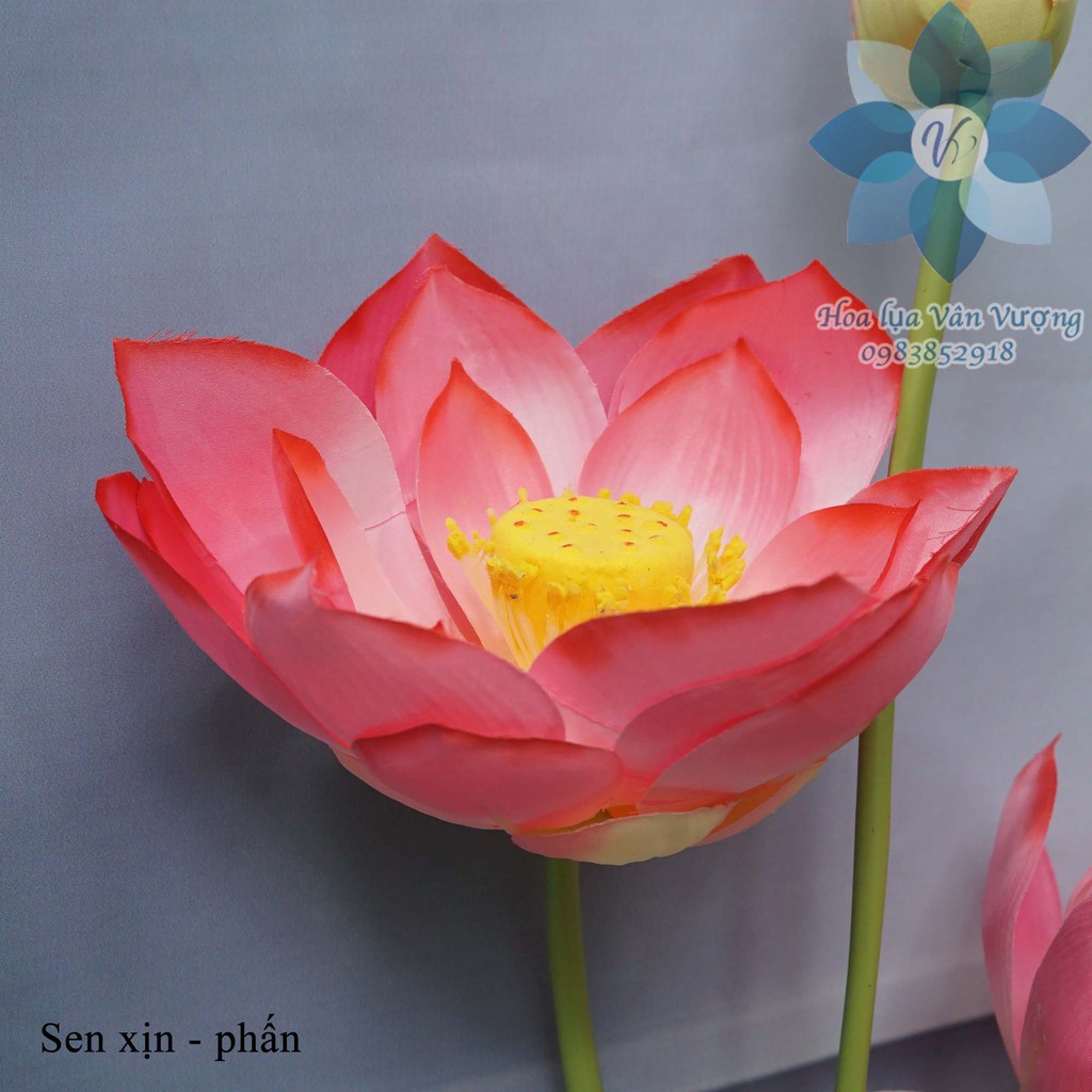 Hoa Lụa 🌺FREESHIP🌺 Hoa Sen Giả Trang Trí