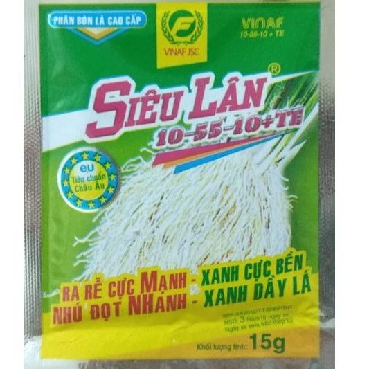Kích rễ - Siêu ra rễ, đẻ nhánh, bật chồi.
