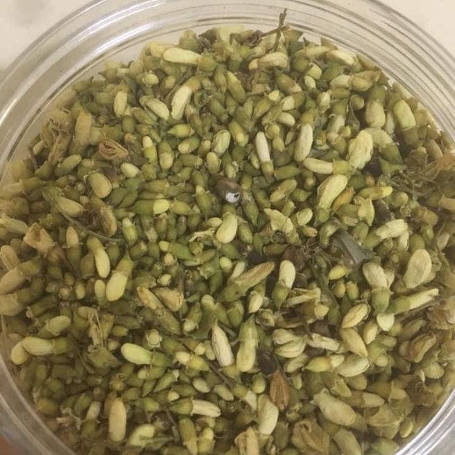 Sỉ toàn quốc 100g hoa hoè