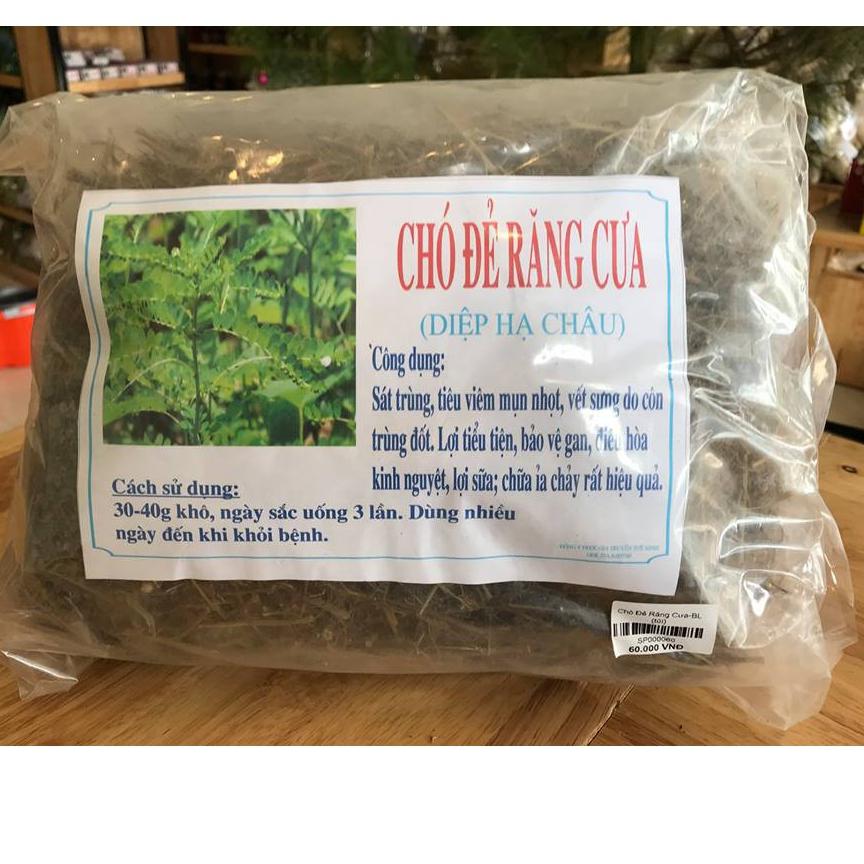 1kg chó đẻ răng cưa