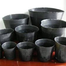 Set 2 chiếc Bầu ươm cây cỡ to KT 30x36
