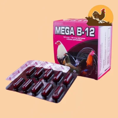 B12 - MEGA dinh dưỡng dành cho gà đá 1 hộp 100 VIÊN