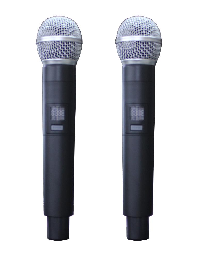 Micro không dây Arirang M1