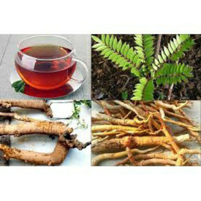 1 kg cây Mật nhân khô hỗ trợ sinh lý