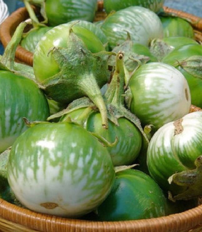 Frog Skin Tomato Seeds - 1 Pack of 0.5 Grams