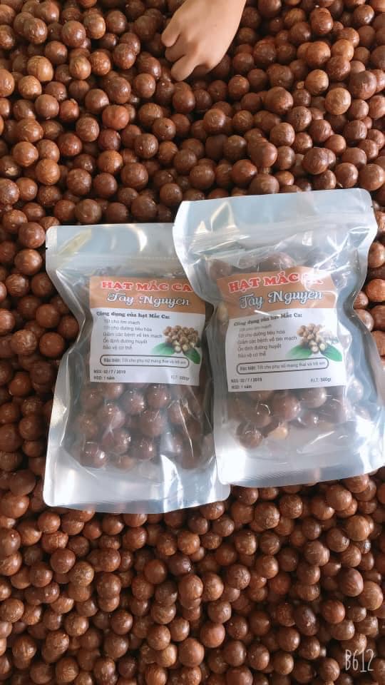 Macca Đak Lak Sấy Loại 1 - Size Đại (500Gr) MCĐ01