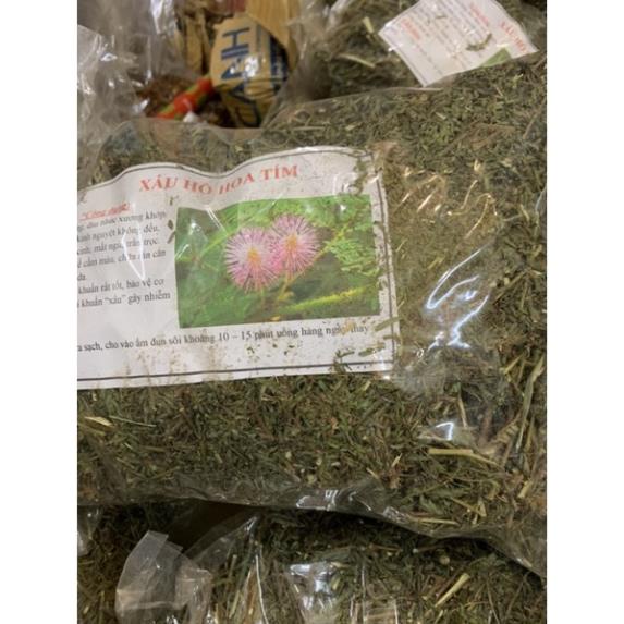 Cây xấu hổ khô