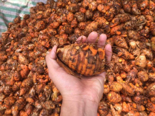 TINH BỘT NGHỆ BẢO AN 1Kg