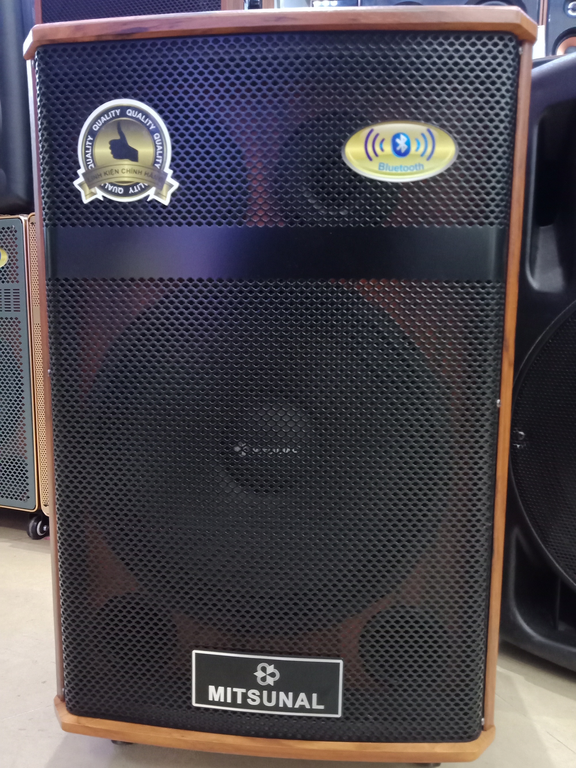 Loa kéo di động, Loa kẹo kéo Mitsunal M34 bass treble sống động tặng kèm 2 mic k dây hát Karaoke