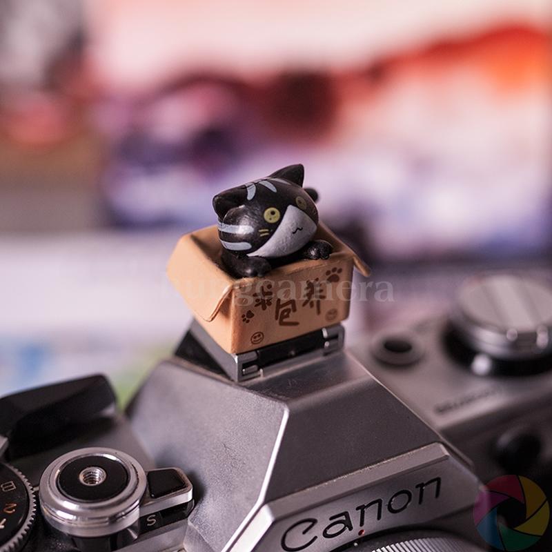 Hotshoe hình Mèo, cài chân flash máy ảnh