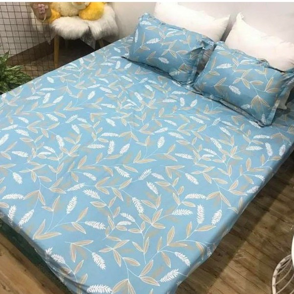 Xả kho Bộ ga gối cotton poly M6 .M8 .2M2( Xả 500 mẫu )