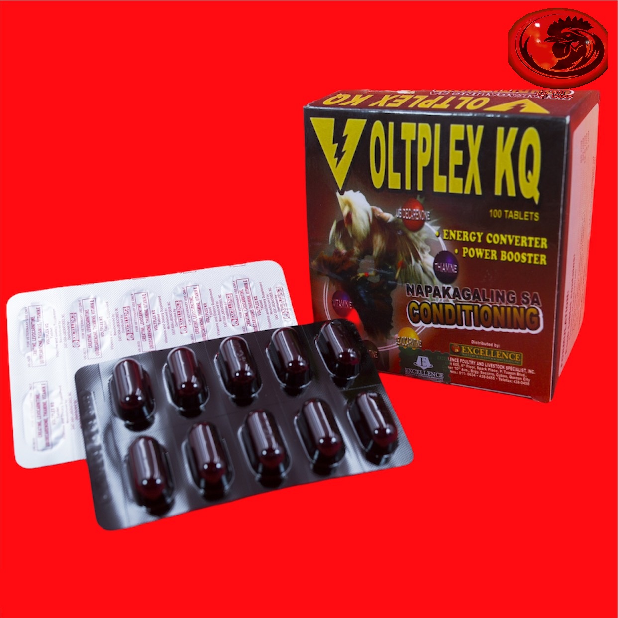 Ốp gà VOLTPLEX KQ 3 ngày cuối đá 1 HỘP 100 VIÊN