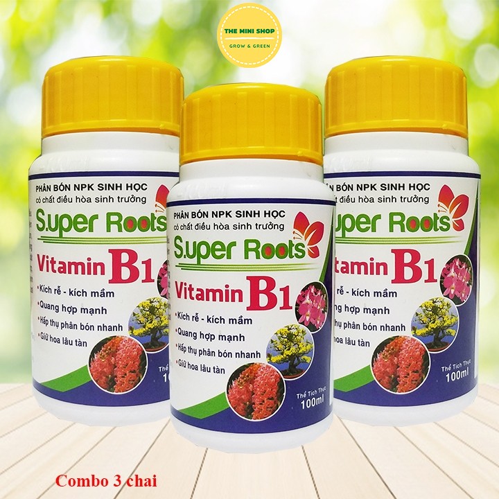 Phân bón lá B1 chuyên dùng cho hoa hồng 100ml COMBO 3