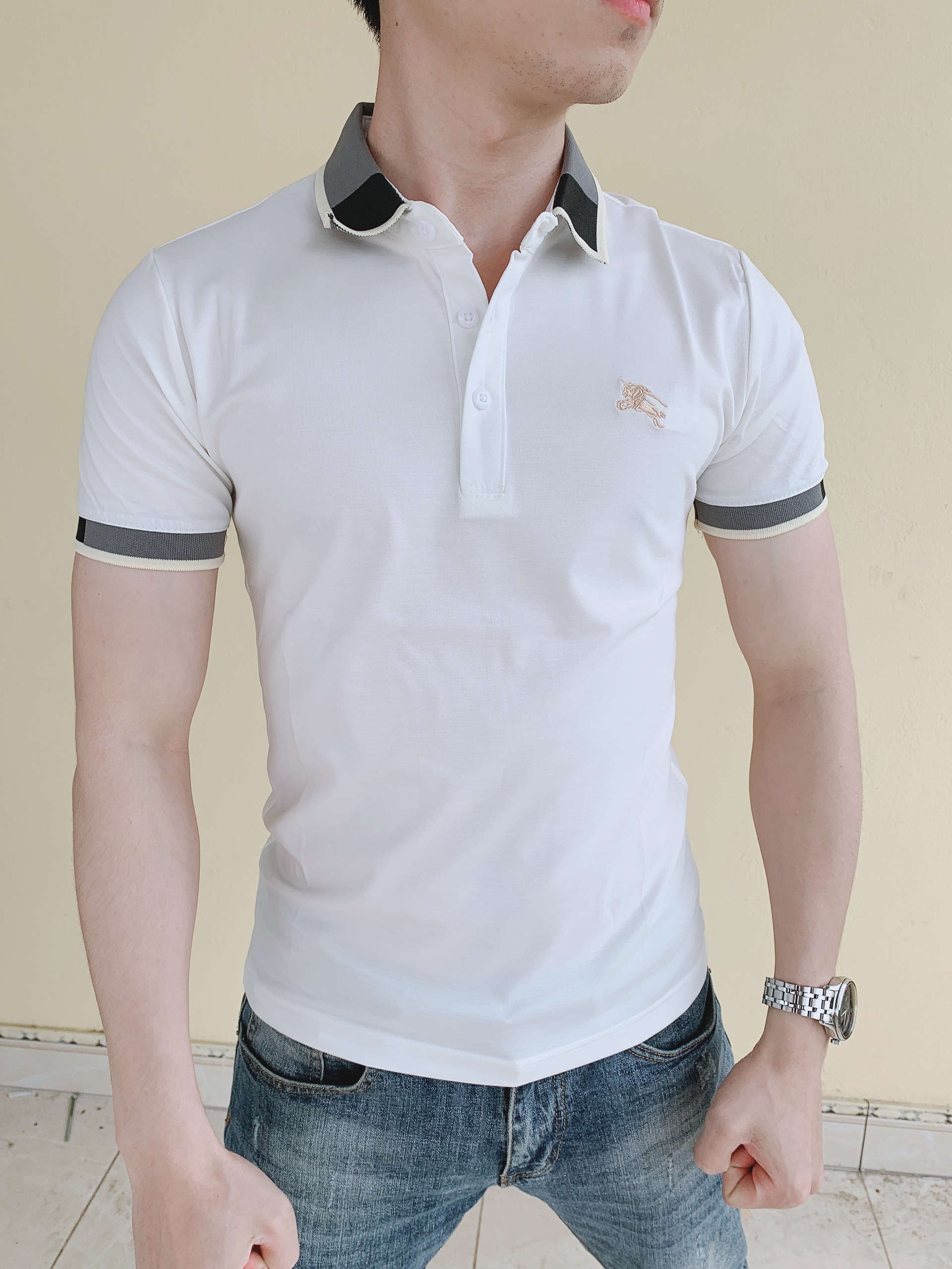 Áo thun polo nam BBR Thêu cao cấp