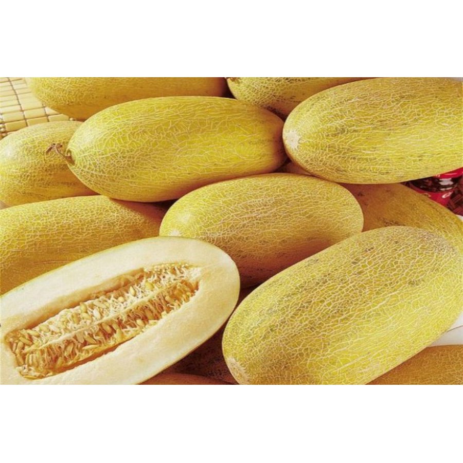 HẠT GIỐNG DƯA LƯỚI VÀNG - 10 HẠT