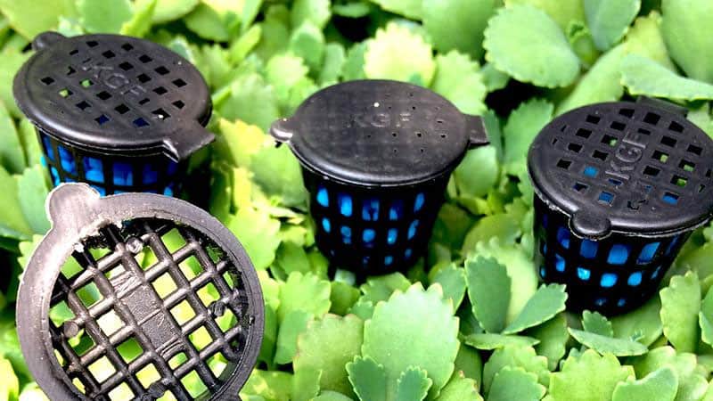 100 cái giỏ đựng phân tan chậm dành cho cây cảnh, rọ đựng phân tan chậm.