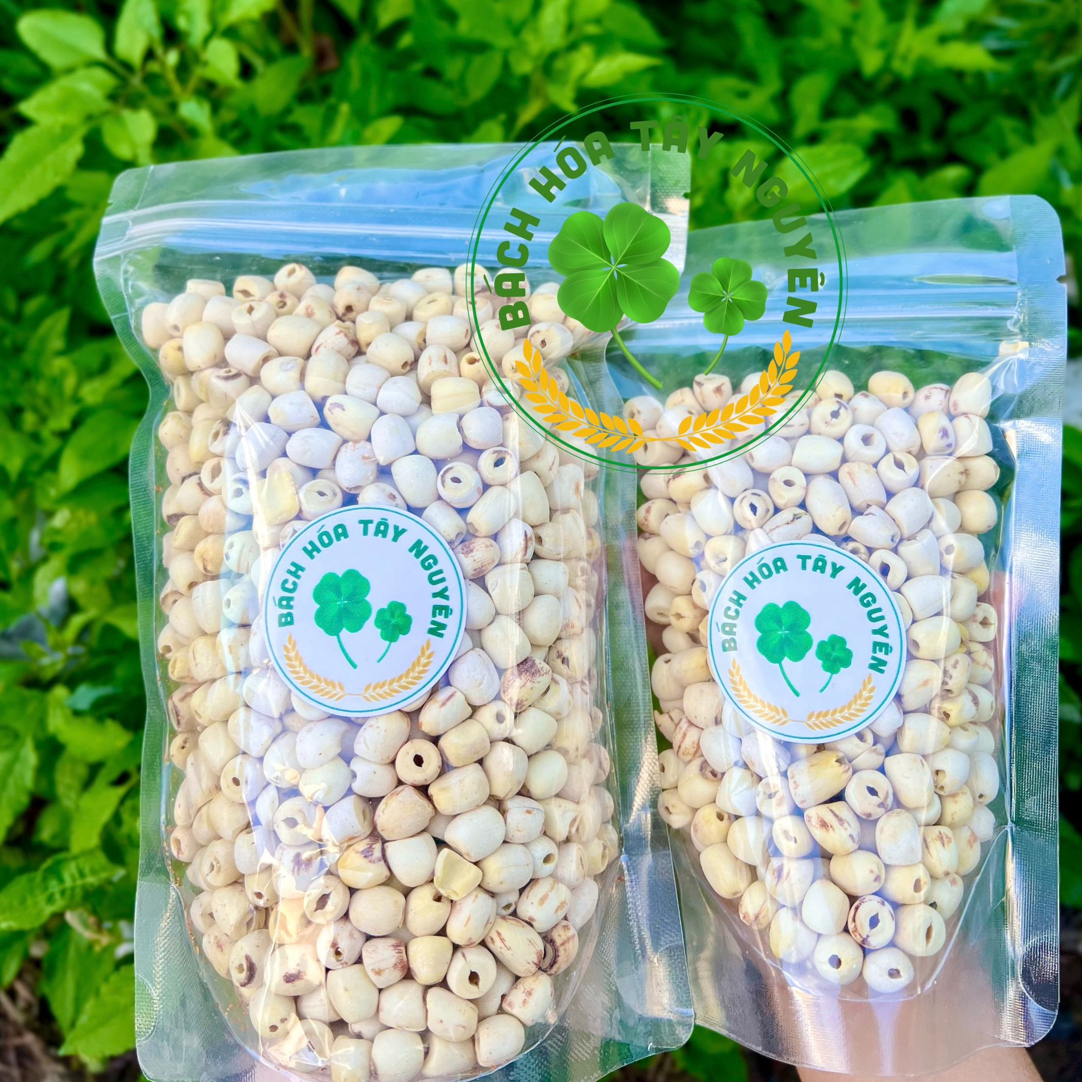 Hạt Sen Khô Đồng Tháp 500gr Sấy Khô Đặc Biệt