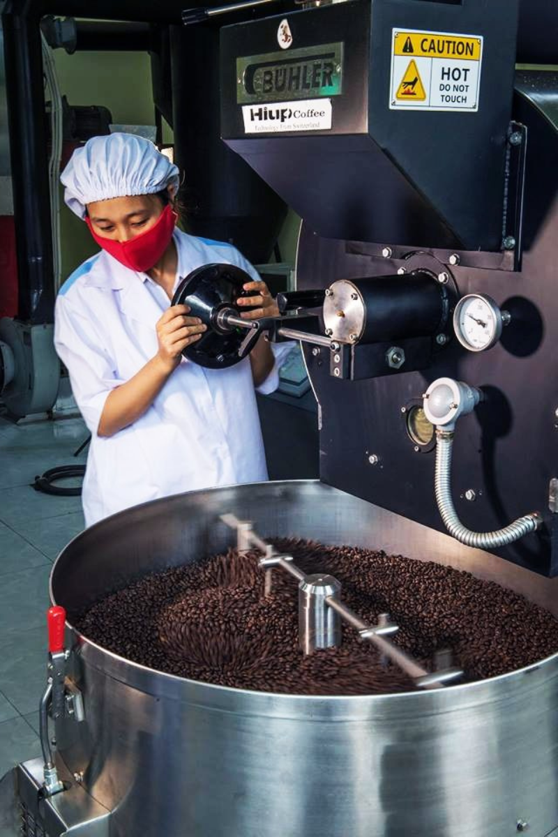 Cà phê hạt nguyên chất, cà phê hạt ROBUSTA 100% Rang Mộc ( 500G )