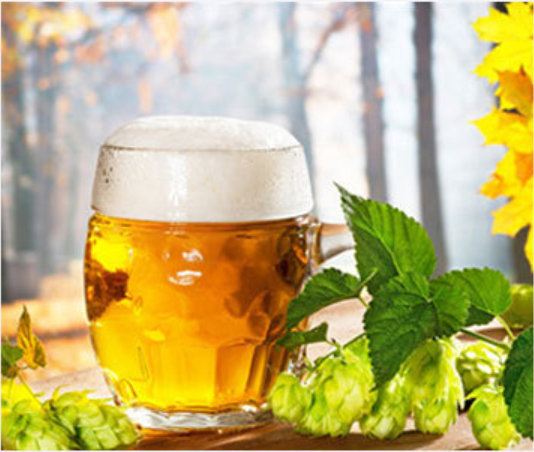 It Smart - Giỏ Lọc Hoa Bia SUS304 HomeBrew (10x25cm)