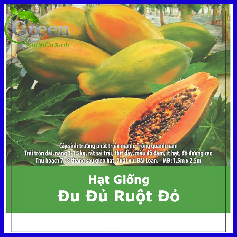 Hạt Giống Đu Đủ Ruột Đỏ Lai F1