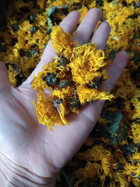 100gr hoa cúc vàng sấy khô nguyên chất