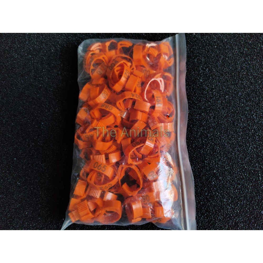 [Bich 100 cái] Vòng đeo chân cho gà, vịt, bồ câu