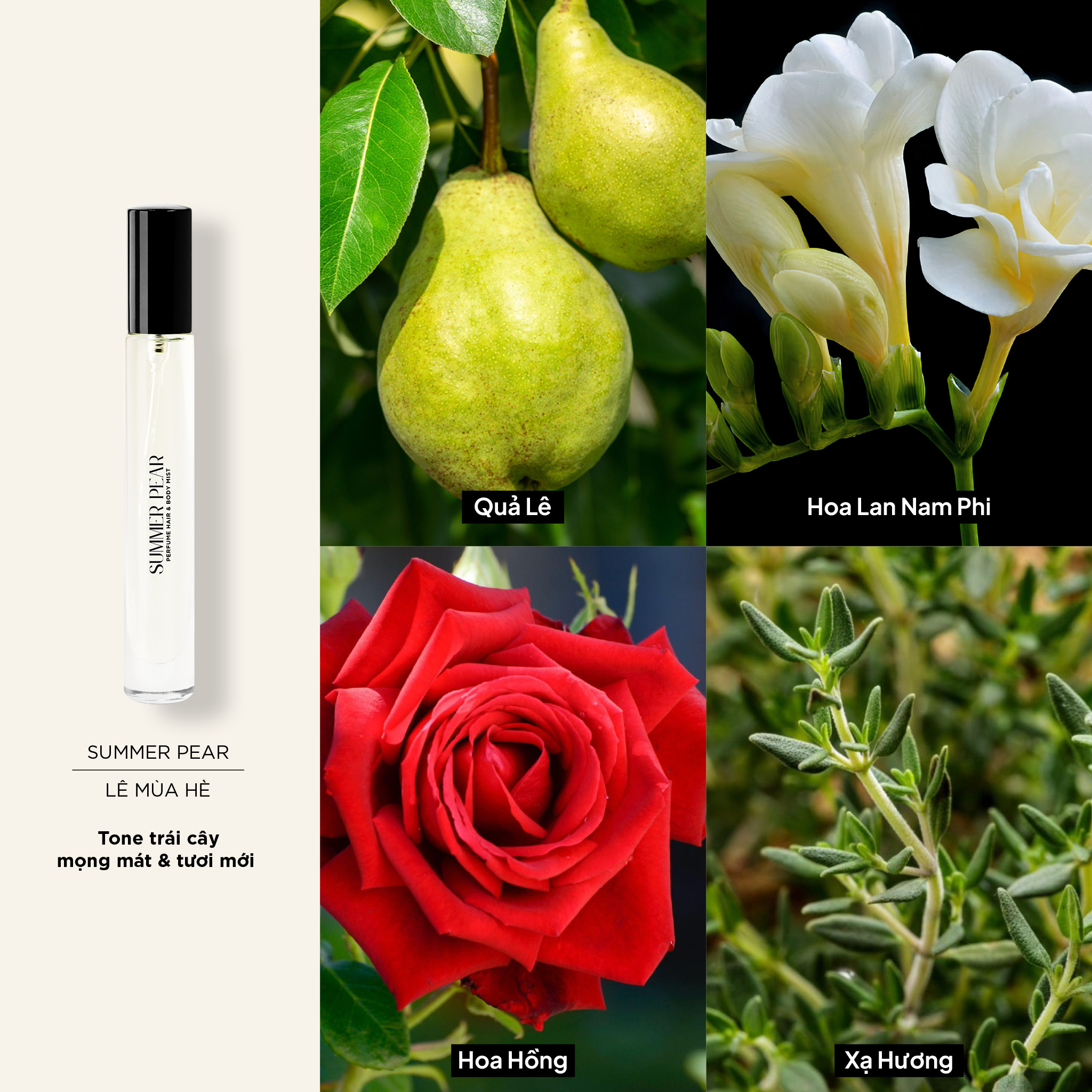 Nước Hoa Body Mist & Tóc SKINLAX ( 10ml )