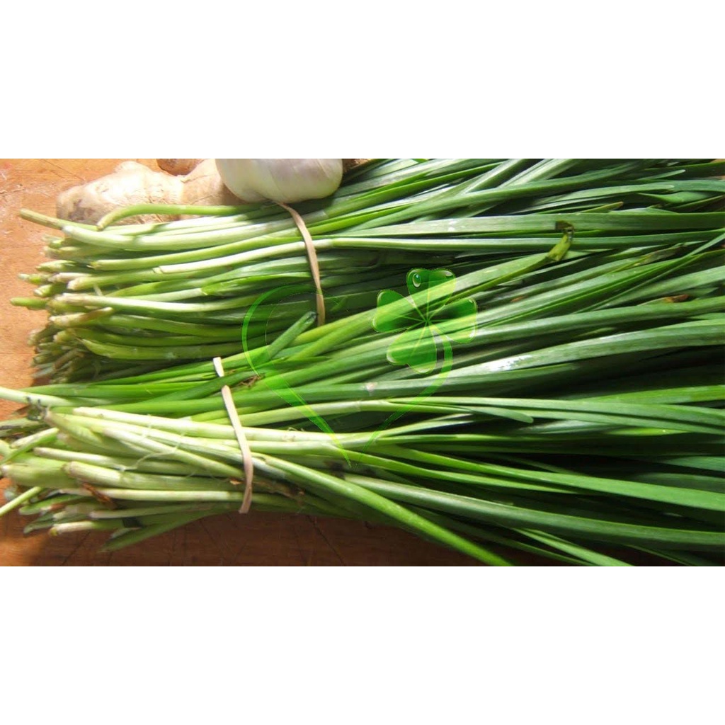 Hạt giống hẹ lá - gói 1 gram