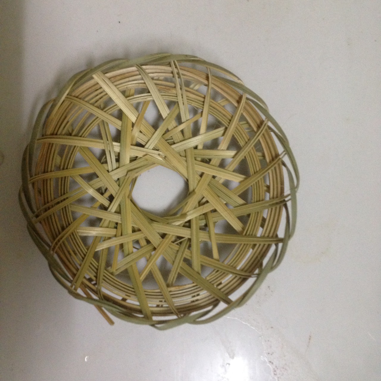 RẾ TRE CHO CHIM cu gáy ĐỨNG