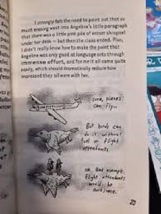 [Bộ Truyện] Dear Dumb Diary – 18 books