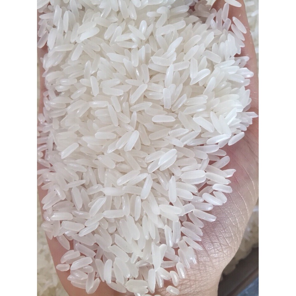 Gạo Tám Thái (Bao 10Kg)