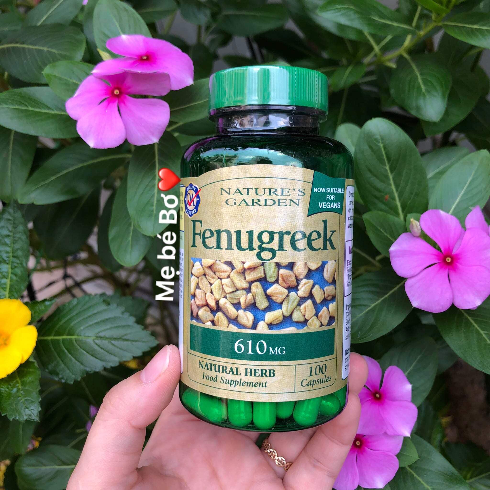 Cỏ lợi sữa Fenugreek Nature's Garden Anh Quốc 610mg