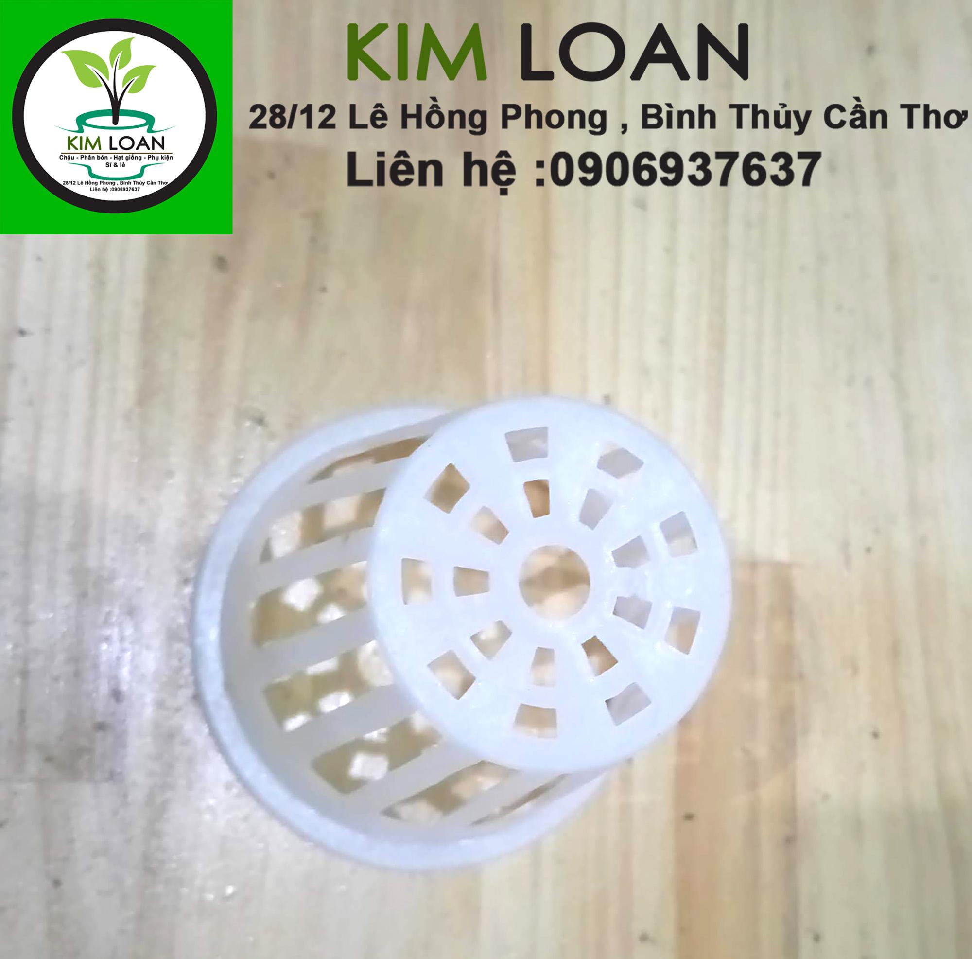 Combo 50 rọ thủy canh 6,5 x 6,5 cm
