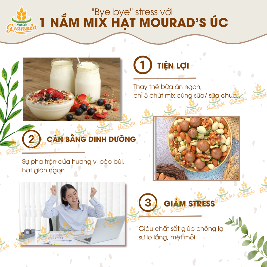 Hỗn Hợp Hạt Mourad's Úc 500g Cao Cấp (Hạnh nhân, hạt điều, macca, hạt bí, hạt dẻ cười) - (Hạt Ngon)