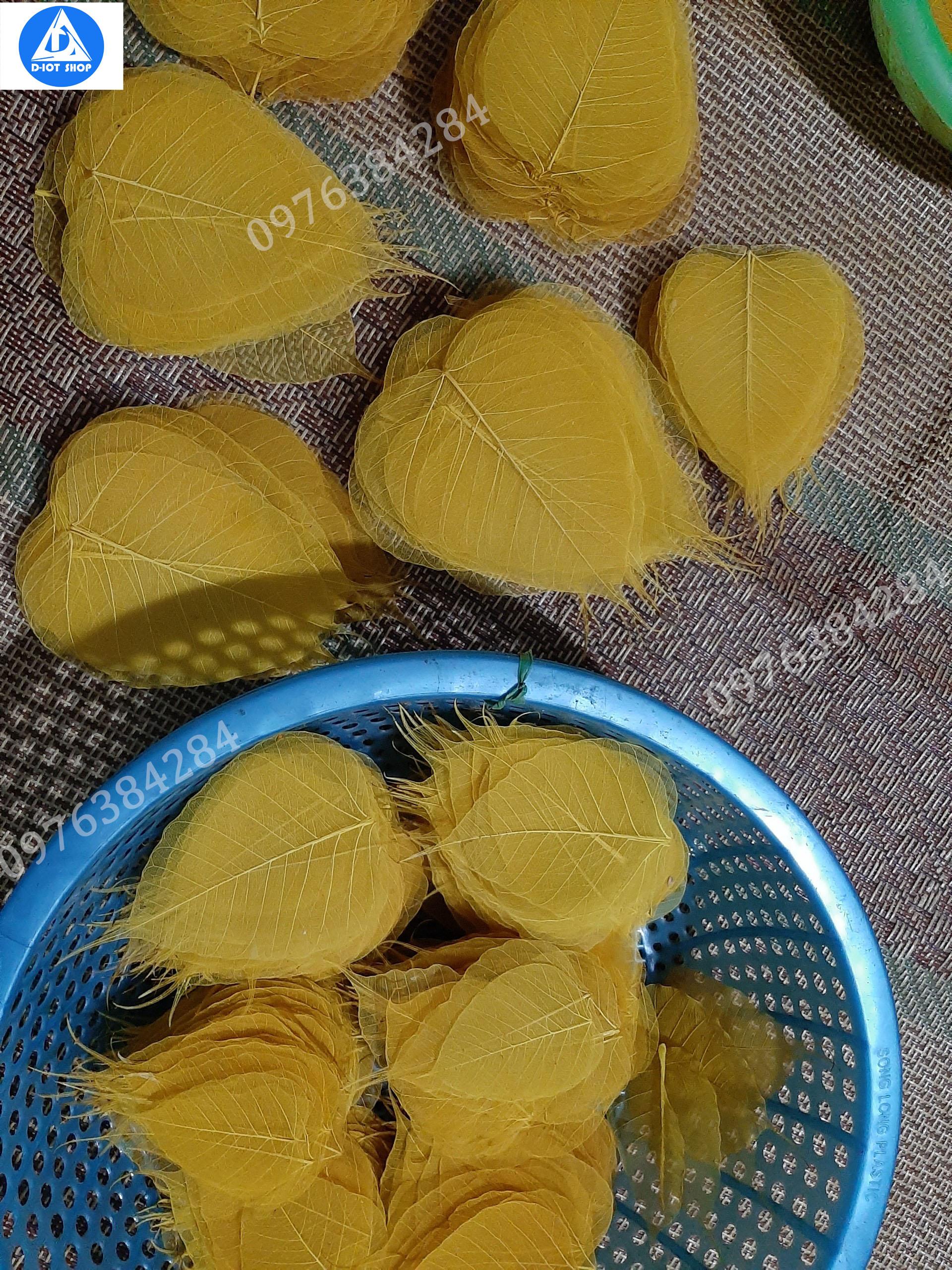 Set 100 lá bồ đề nhuộm vàng to(tặng 5 lá)