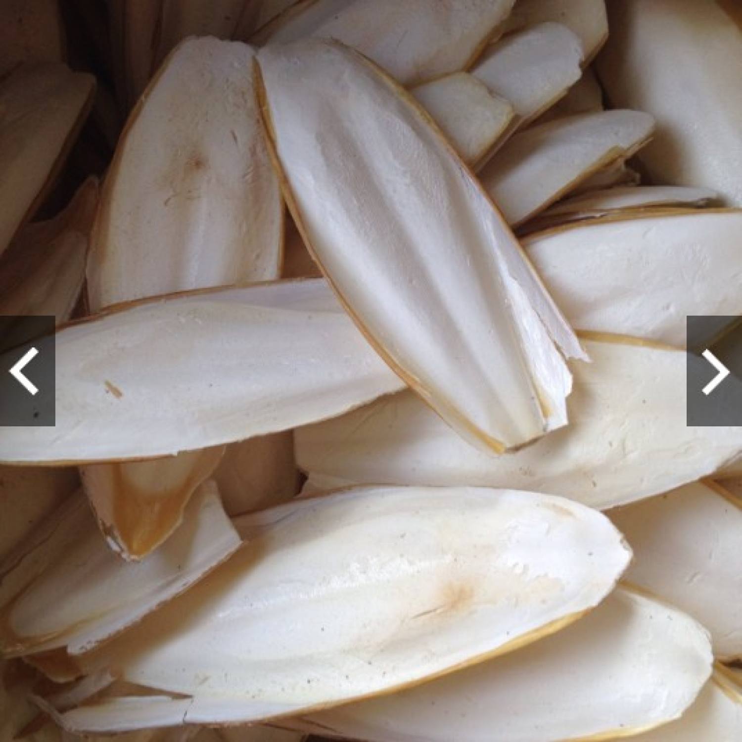 Nang mực { mai mực} 100g
