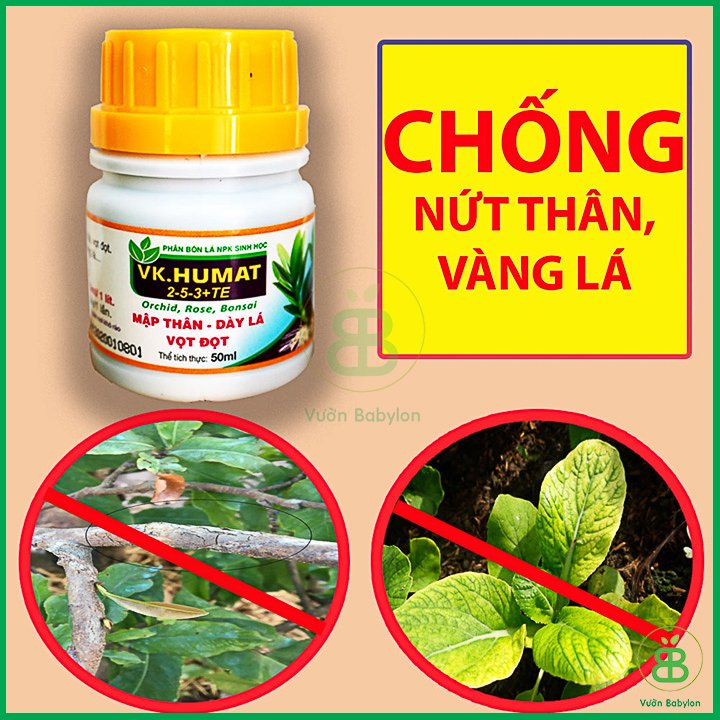 Phân Bón Lá Sinh Học Mập Thân, Dày Lá, Vọt Đọt Vk.Humat 50Ml