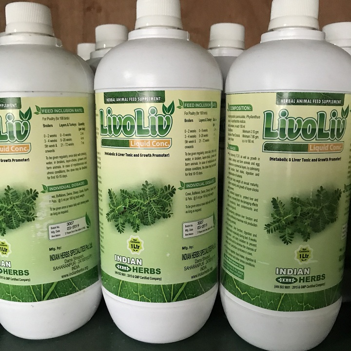 Bổ gan thận Ấn Độ chai 1L