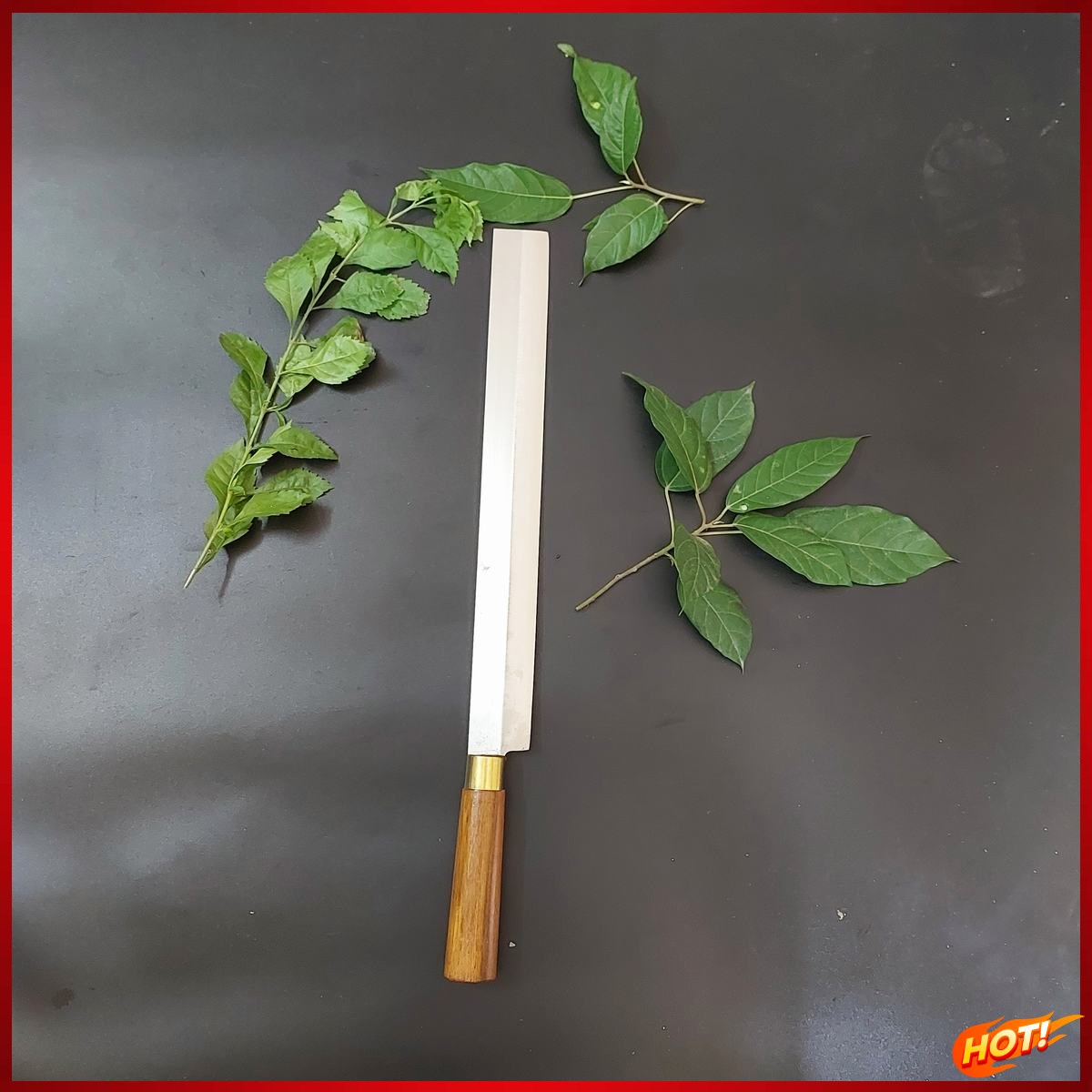Dao Thái Thép Không Rỉ Thái Sasimi Lát Mỏng - Dao Bếp