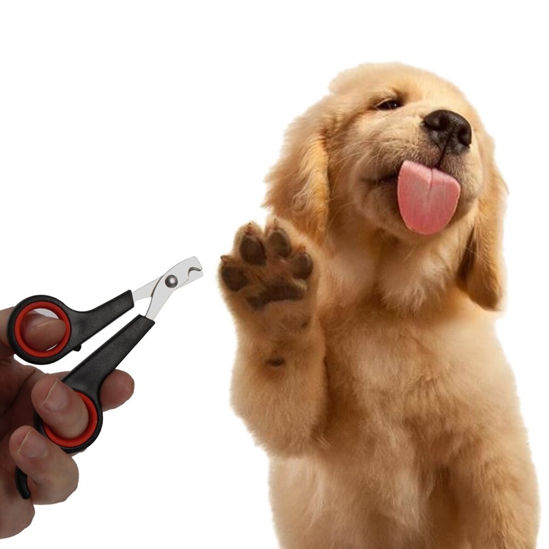 Dụng Cụ Chăm Sóc Móng Cho Thú Cưng ama113