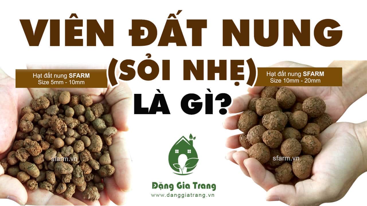1kg VIÊN ĐẤT NUNG ( SỎI NHẸ ) SFARM