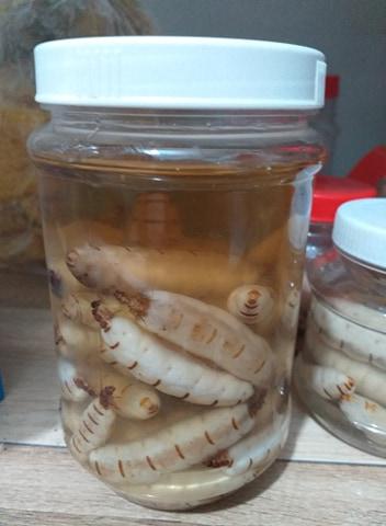 Bà Mối Lớn 20 con