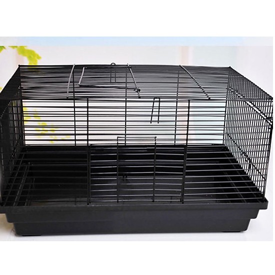 Lồng Đại hamster, bọ không phụ kiện