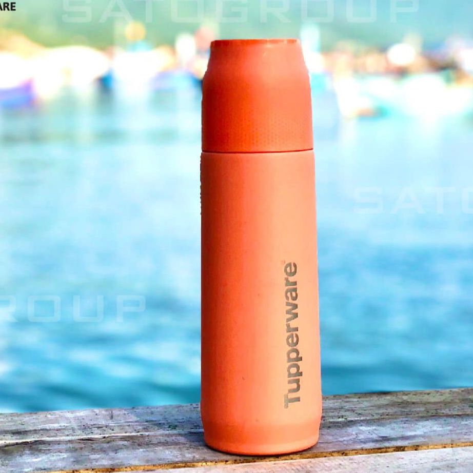 HÀNG CHÍNH HÃNG - Bình giữ nhiệt Tupperware Buddy 520ml (SALE SHOCK + FREE SHIP)