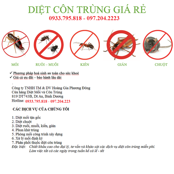 COMBO 10 hộp phấn diệt kiến gián (10 hộp x 2 viên)